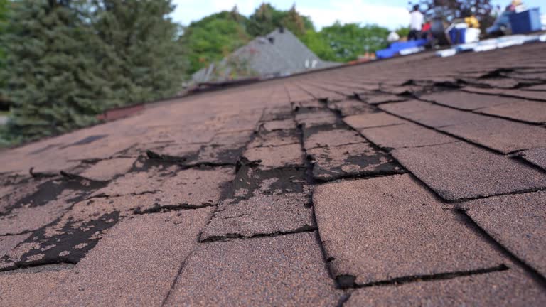 Best Cold Roofs  in Grandview Heights, OH